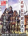 武田家的明国武士